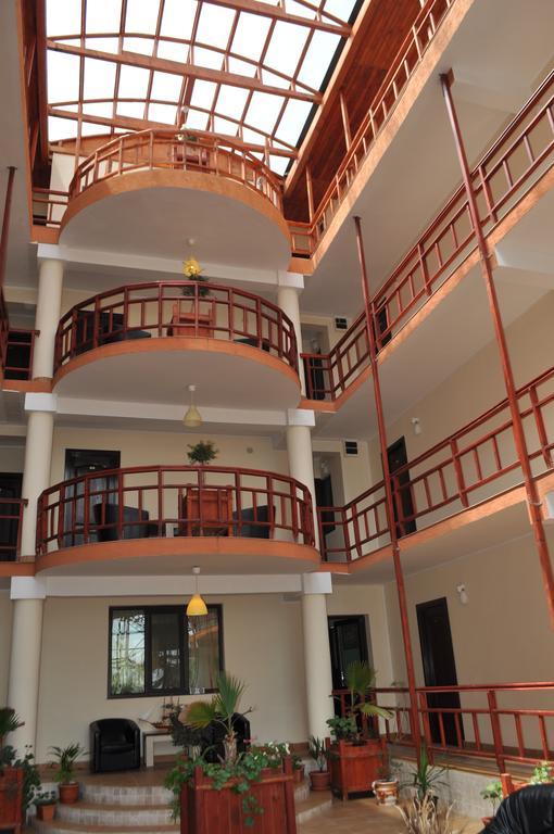 Vilele Soarelui نيبتون المظهر الخارجي الصورة